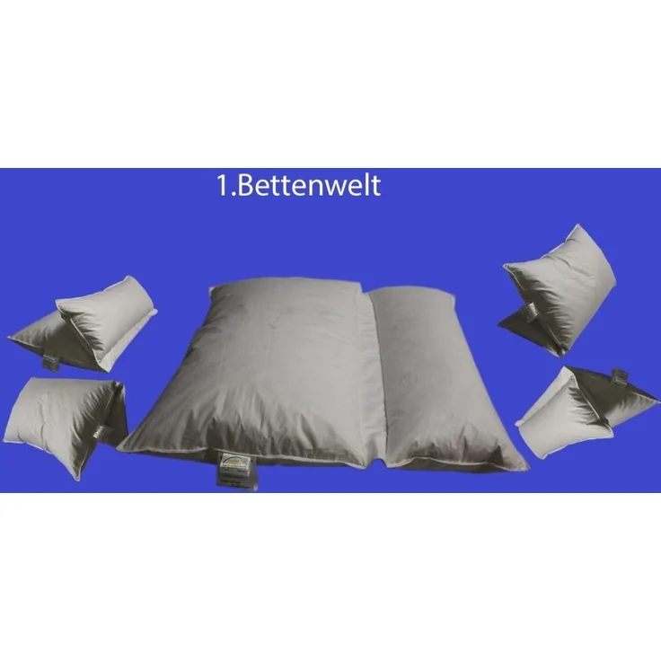 Betten Hofmann Premium Lesekissen Multifunktionskissen Kopfkissen Knickkissen 80x80 cm 30% Daunen – Bild 1