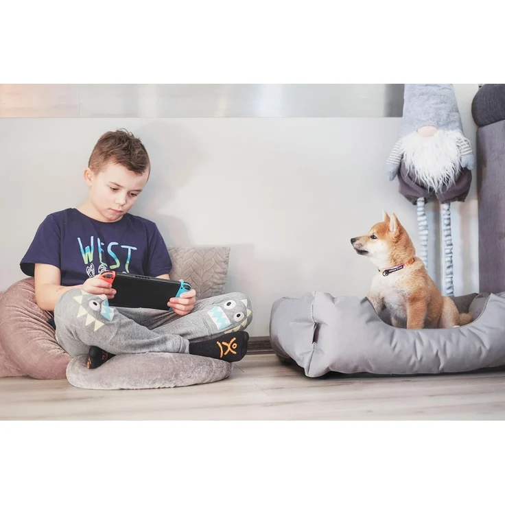 BedDog Hundebett LUPI, Hundesofa aus Cordura, Microfaser-Velours, waschbares Hundebett mit Rand, Hundekissen vier-eckig (S) ca. 55x40x17cm, MYSTIC (braun/grün) – Bild 4