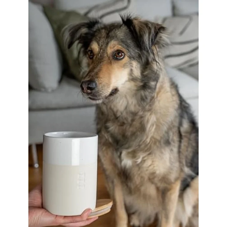 TrendPet Aufbewahrungsdose Clay Snackdose, rutschfester Boden – Bild 5