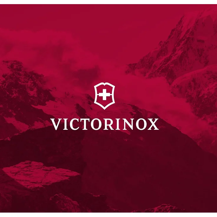 Victorinox Kochmesser geschmiedet Klinge 25 cm in Geschenkschachtel – Bild 8