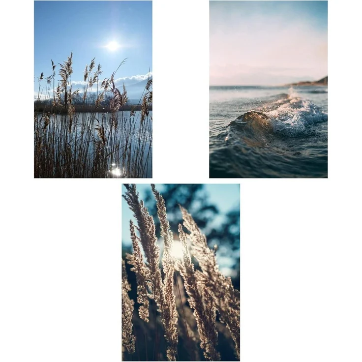 Poster Set 3er Wohnzimmer Pampasgras Blau Meer F-30 x 40 cm – Bild 1