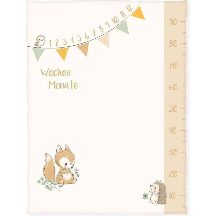 Herding babybest Soft-Peachdecke Waldfreunde Meilensteindecke/Monatsdecke/Fotodecke, Inkl. Zubehör, 75x100 cm, Polyester