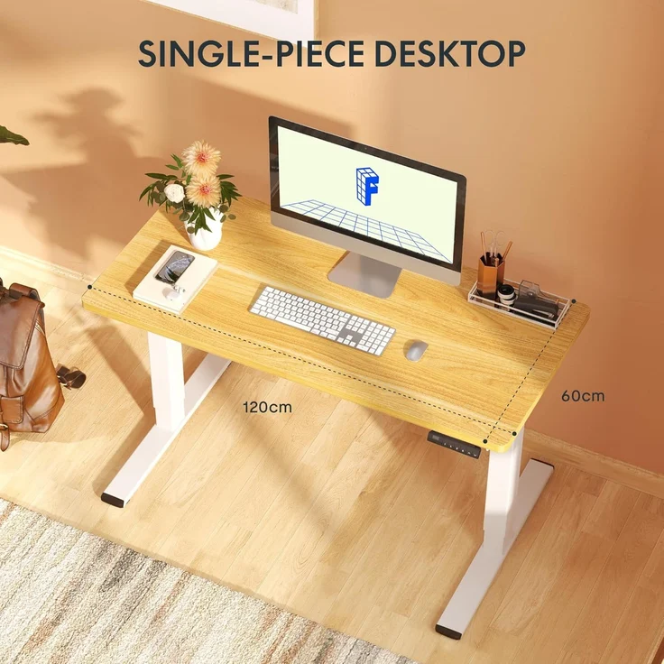 FLEXISPOT Höhenverstellbarer Schreibtisch mit 2 Motoren & 25MM einteiliger Tischplatte,ergonomischer Bürotisch - 120x60 cm Schwarz, schwarzes Gestell – Bild 6