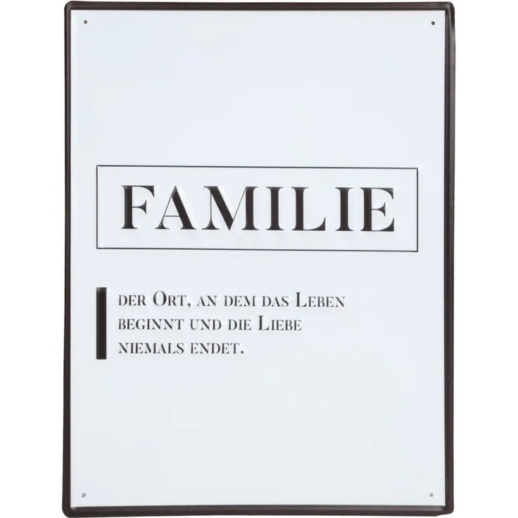 Retro Blechschild Sprüche 40x30cm Metallschild Wandbild Wandtafel Wanddeko Familienregeln Familie Toilettenregeln Kloregeln WC Nostalgie Vintage