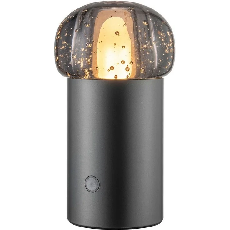 blomus LED Tischleuchte -IRIS- Mobile Akku LED-Leuchte: Dimmbar & Wetterfest für Innen & Außen, LED fest integriert, Warmweiß, Tageslichtweiß, Kaltweiß, Designerleuchte, Mobil, Akku, Dimmbar, 47 Std, 2700K bis 4000K, IP54 – Bild 1