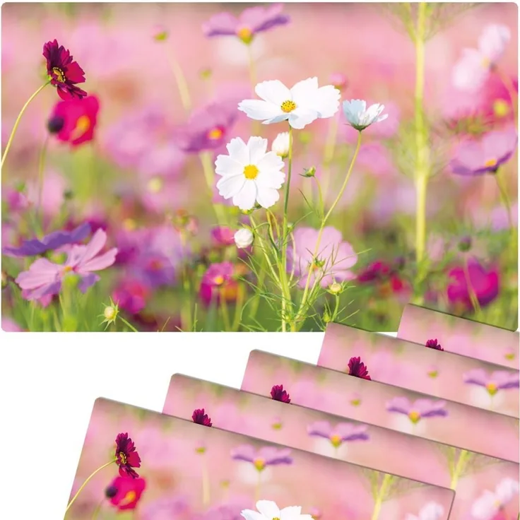 matches21 HOME & HOBBY Platzset Abwaschbare Tischsets 6er Set Blumen-Wiese pink weiß, (6-St), Platzsets als Tisch-Untersetzer und Tisch-Deko für Esstisch Teller