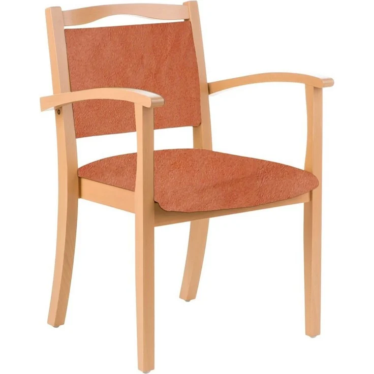 einrichtungsdesign24 Armlehnstuhl 4-Fußstuhl Holzstuhl mit Armlehnen Alexander Seniorenstuhl Esszimmer, Gestell aus Massivholz und stapelbar – Bild 1