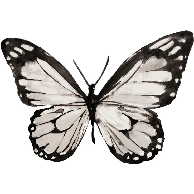 wandaufkleber Butterfly junior 93 x 66,5 cm schwarz/weiß