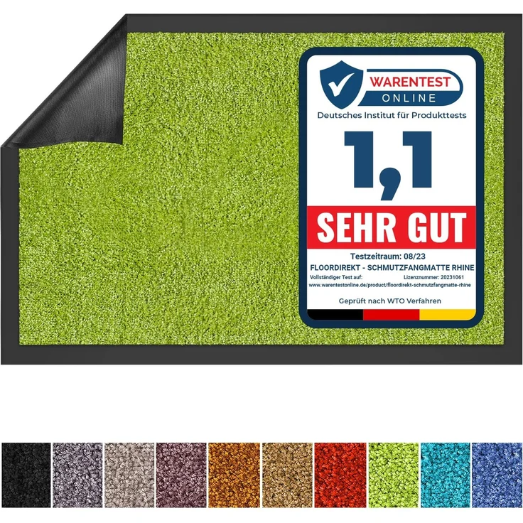 Floordirekt Schmutzfangmatte Rhine - waschbare & leistungsstarke Fußmatte - Sauberlaufmatte mit Rutschfester Rückseite - Türmatte für den Eingangsbereich (Grün, 200x200 cm)