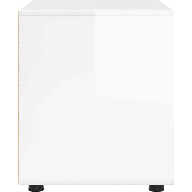 vidaXL Aufbewahrungsschrank 60 x 48 x 57 cm Holzwerkstoff 888831 – Bild 7