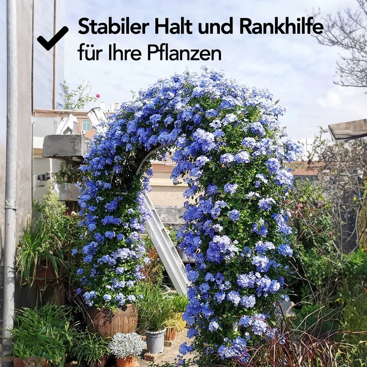 Brixy - Rosenbogen - Gartenbogen - Rankhilfe - Blumenbogen - Für Kletterpflanzen - Metall - 240 x 140 x 38 cm - Schwarz – Bild 5