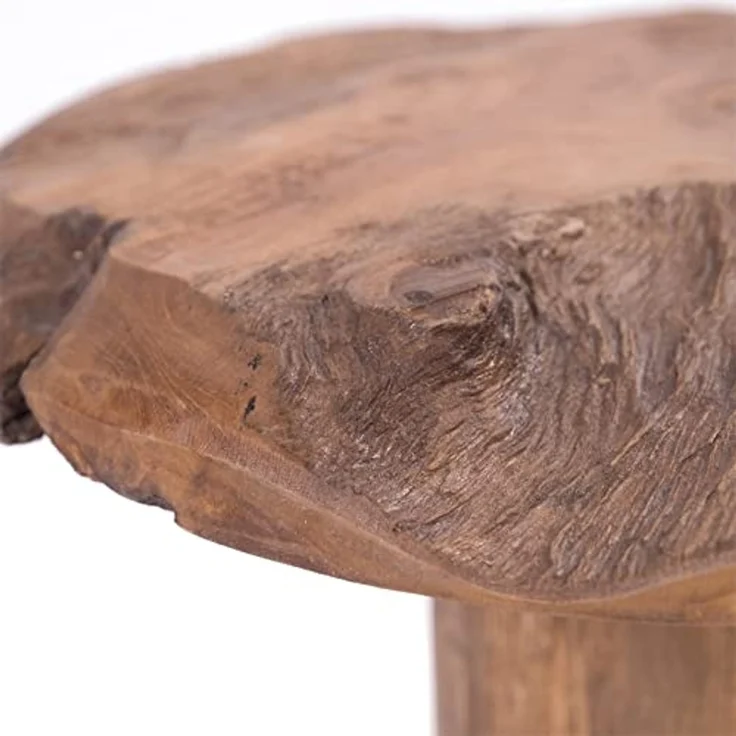 DESIGN DELIGHTS Beistelltisch BEISTELLHOCKER "DARWIN", Teakholz, Ø 30 cm, Wurzelholzhocker – Bild 6
