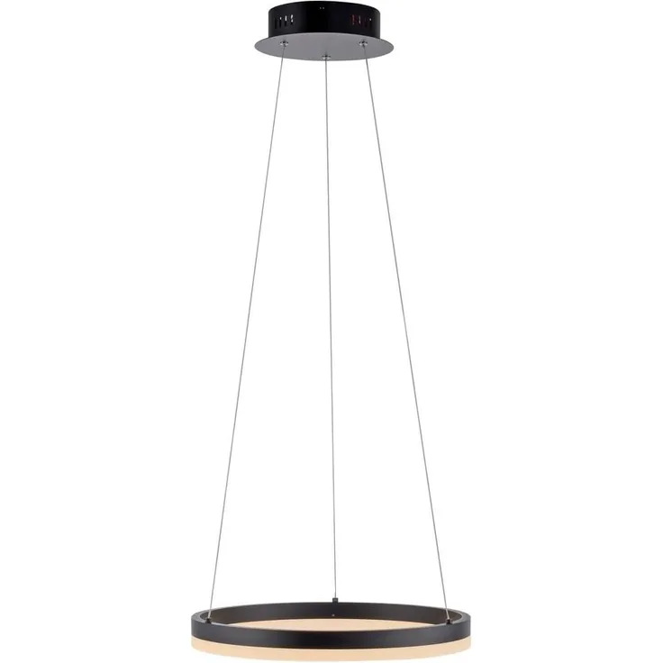 Paul Neuhaus 2381-13 TITUS Pendelleuchte 40 anthrazit