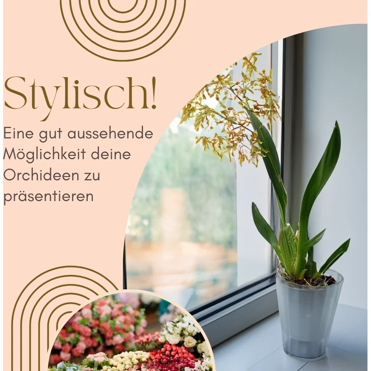 GarPet Blumentopf 4er Set Orchideentopf Transparent Orchideen Über Innen 16 rauchfarbig – Bild 3