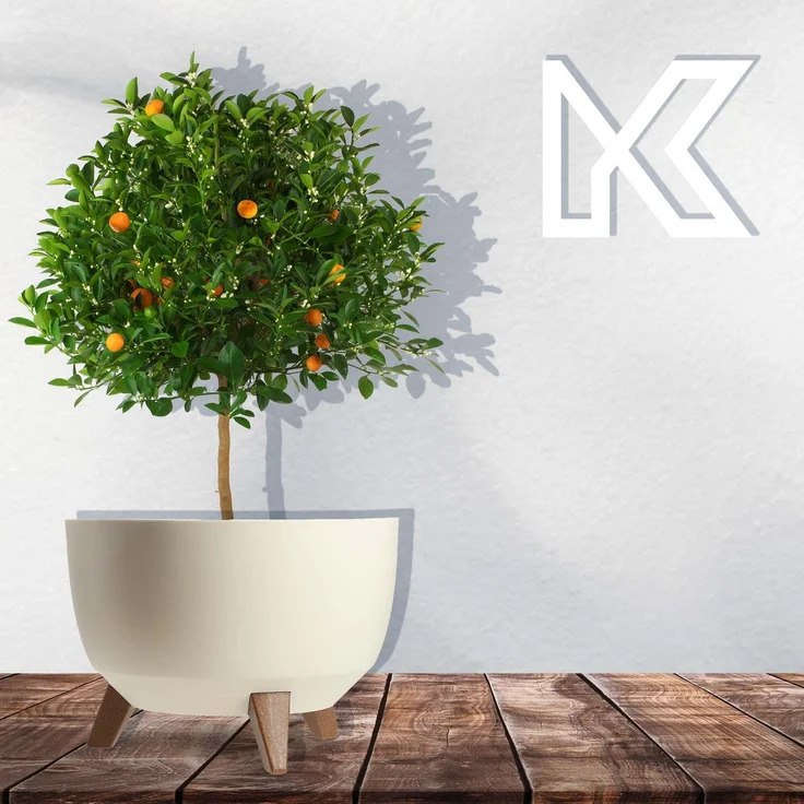 KADAX Blumentopf-Pflanzgefäß-Abdeckung auf Beinen, Einsatz, Blumenständer, 33 cm, cremefarben, runde Schüssel – Bild 8