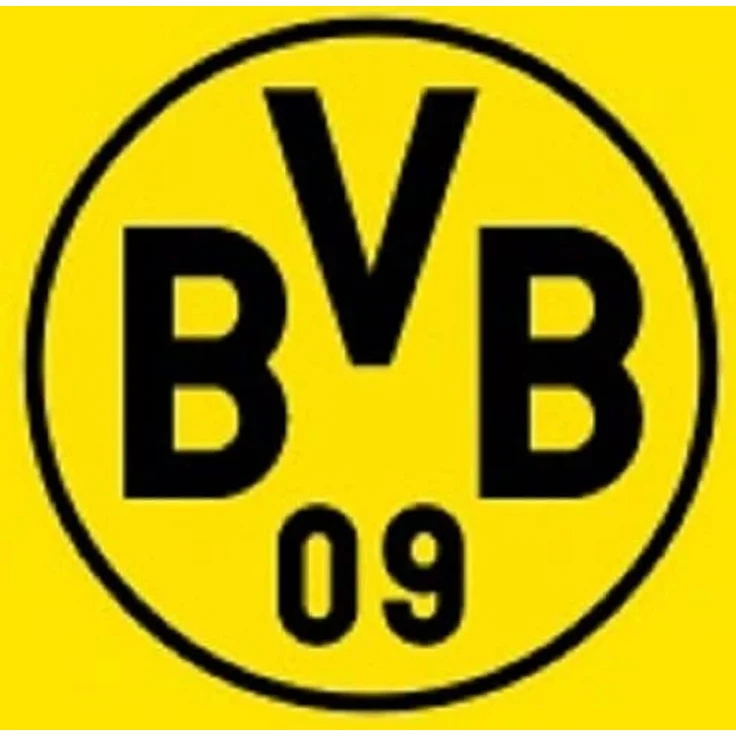 BVB Kopfkissen BVB-Kissen Südtribüne, Füllung: 100 % Polyester, Bezug: 100 % Polyester, Rückenschläfer – Bild 3