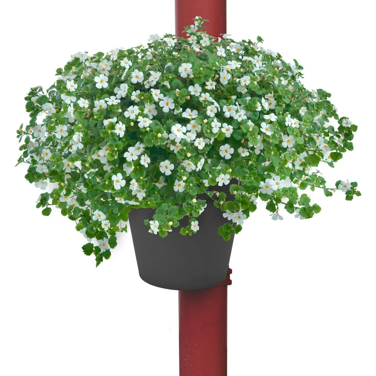 Regenrohr-Pflanztopf schwarz Blumentopf für Fallrohr Pflanzengefäß Gartendeko Pflanzenkorb Dachrinne – Bild 2