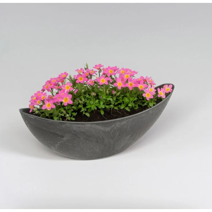 matches21 HOME & HOBBY Blumentopf Große Pflanzschalen oval, schwarz 55 cm für außen (2 St), Wetterfeste Outdoor Blumen-Schalen als Grab-Schmuck – Bild 4