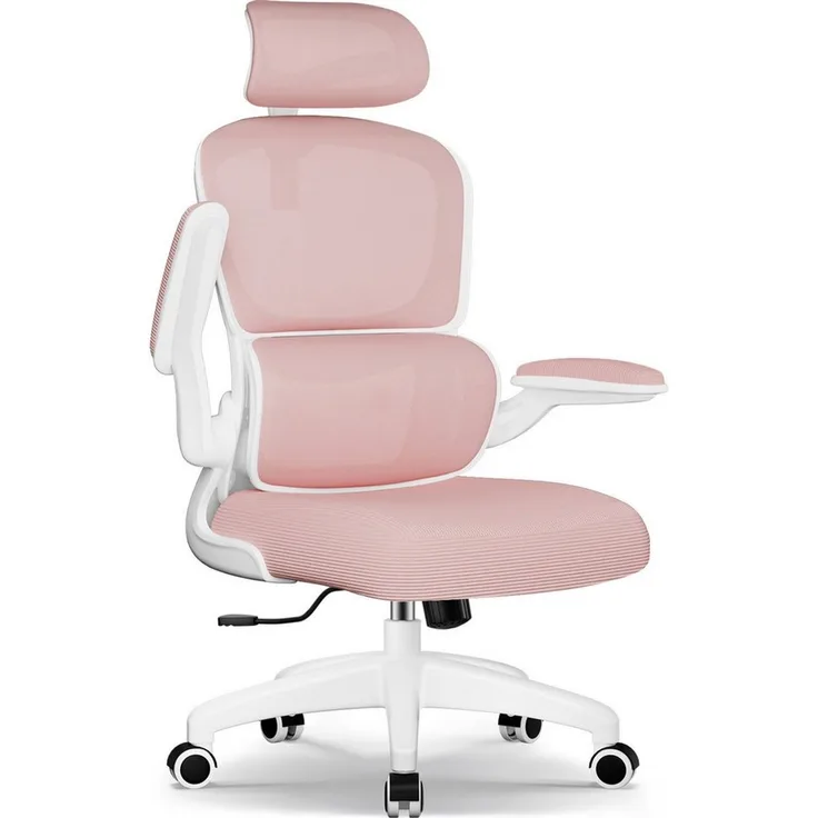 Homimaster Bürostuhl Bürostuhl, Schreibtischstuhl Ergonomisch mit Klappbaren Armlehnen (Bürostuhl mit Verstellbarer Kopfstütze, 90° Klappbare Armlehnen und Lendenwirbelstütze, Höhenverstellbarer Chefsessel aus Mesh), Bürostuhl mit maximaler Neigung von...