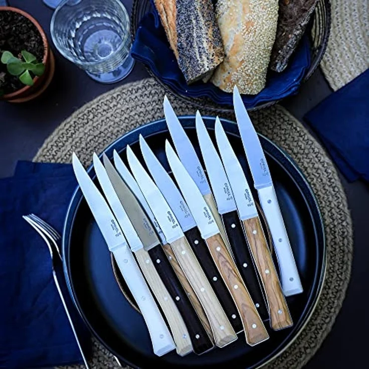 Opinel Tischmesserset Facette 4-teilig Mix – Bild 6