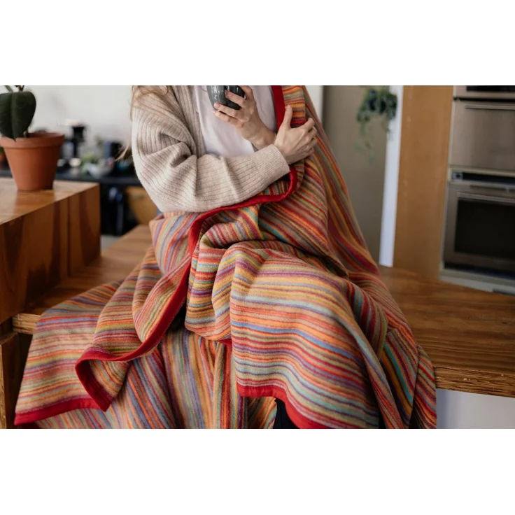 IBENA 'Malang' Wohndecke, mit filigranen Streifen, Jacquard, Bunt, 100x150 cm – Bild 3