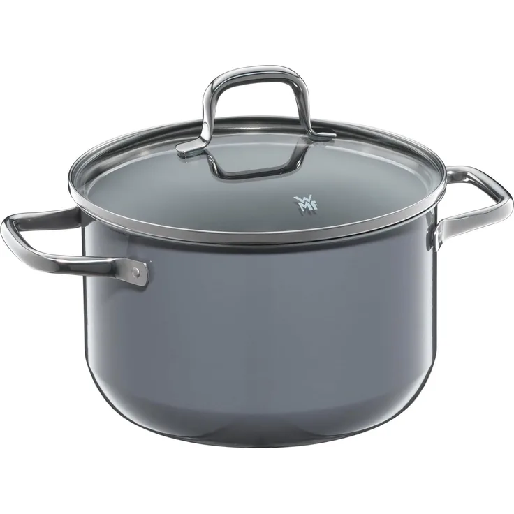 WMF WMF Fusiontec Essential Kochtopf mit Deckel, 20cm Calm Grey 3201112793