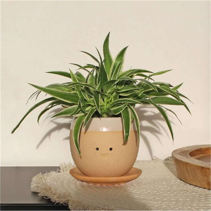 Winkee Blumentopf Weinender Pflanzentopf (mit Schale, 1 St, handgefertigt), ca. Ø 12 cm, 10 cm hoch – Bild 2