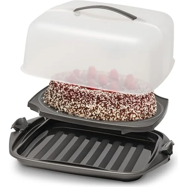 Hausfelder Kuchentransportbox Kuchen Transportbox quadratisch, 28,5 x 28,5 x 13,5 cm, Kunststoff, (Set, 1-tlg, 1 Box), Transportbox mit Deckel, spülmaschinenfest, BPA-frei