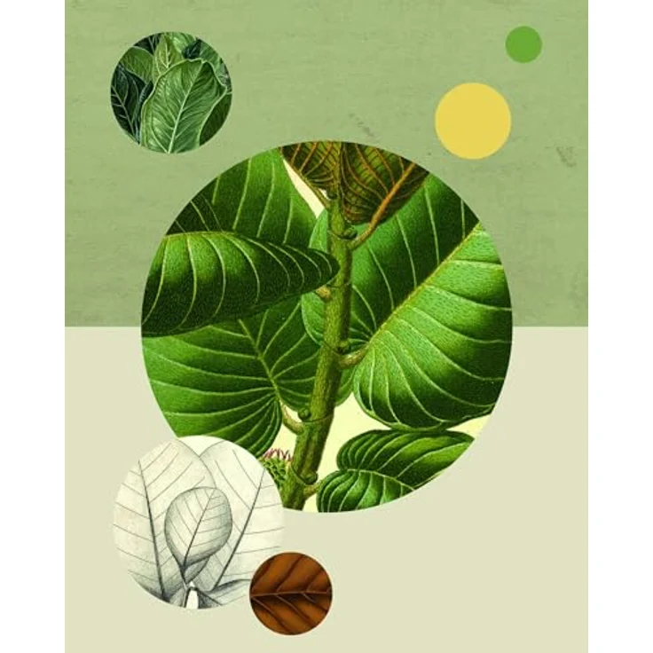 Komar Wandbild Green Structure, Naturgetreues Poster 40 x 50 cm, lichtbeständige Farben, fotorealistischer Kunstdruck ohne Rahmen – Bild 2