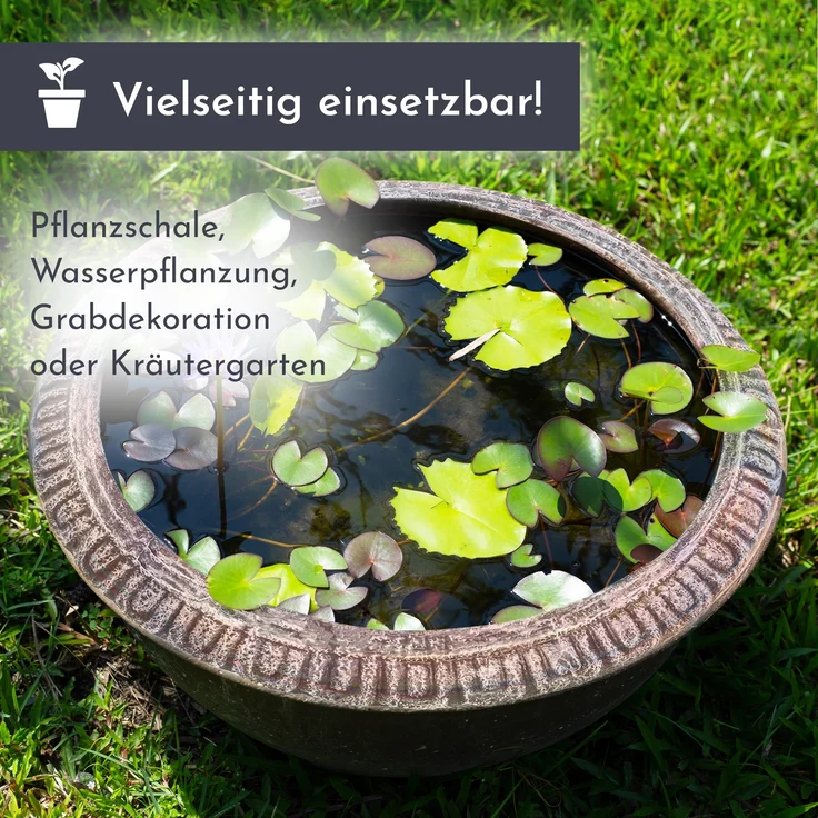 Pflanzschale BALLET rund, Pflanztopf bronze optik – Bild 7
