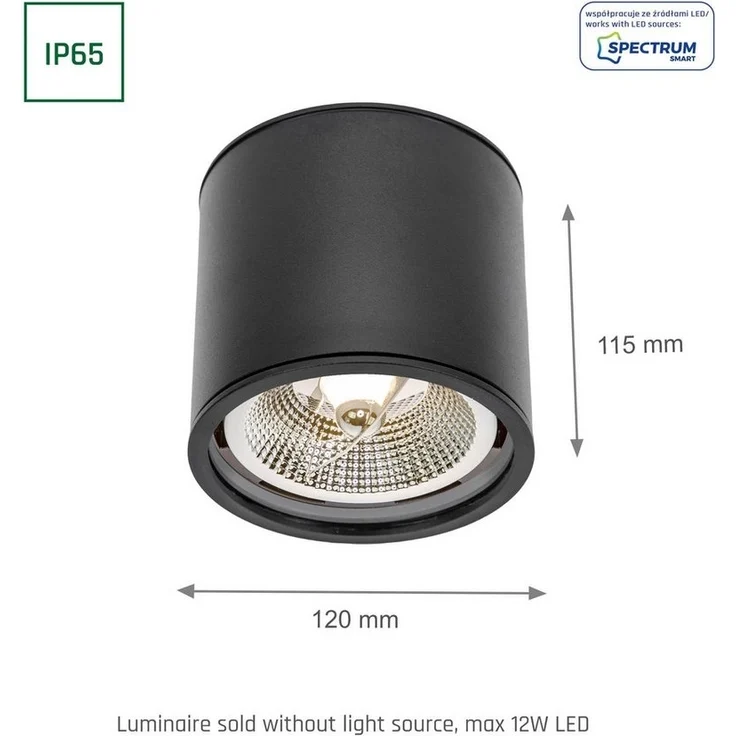 Deckenspots schwarz D-120mm AR111 GU10 IP65 rund – Bild 3