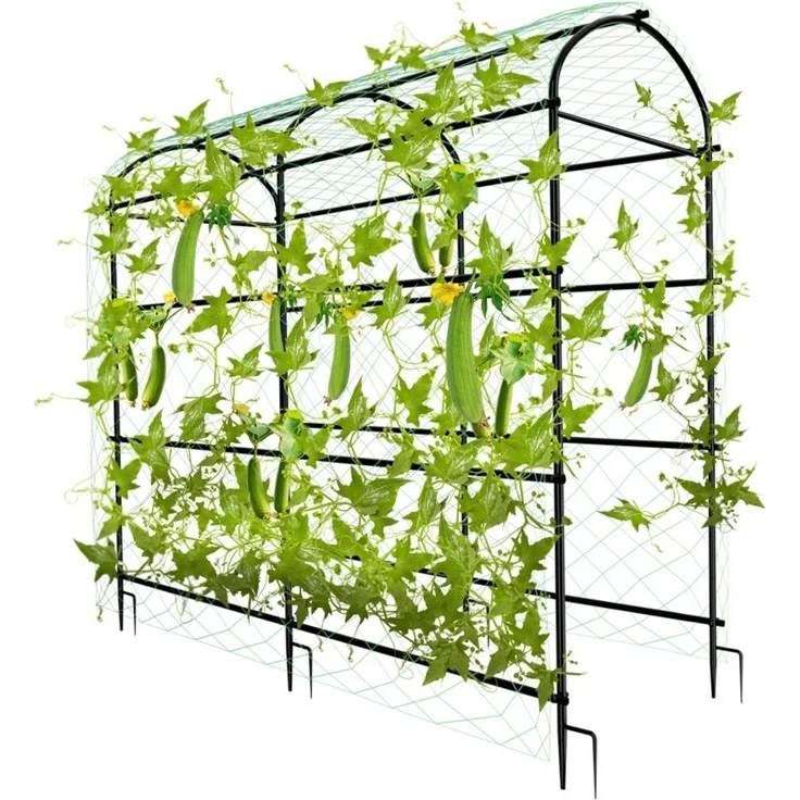 FATIVO Gurke Rankhilfe Metall Rankgitter Gitternetz Kletterpflanzen fr Blumen Gemse Rosenbogen Kletterhilfe Rosenspalier Torbogen 105x162x160 cm rostfrei Gebogen Schwarz – Bild 7