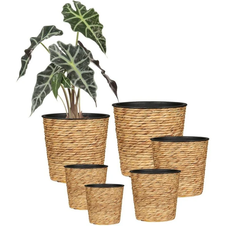 Scheurich Blumentopf Ø 30 cm Wasserhyazinte natur – Bild 3