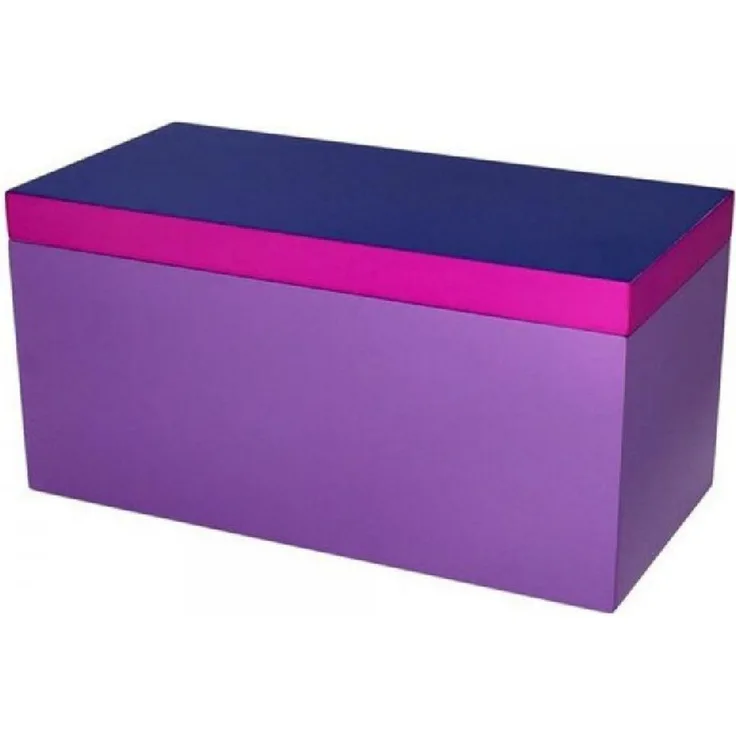 Giftcompany Aufbewahrungsbox Aufbewahrungsbox Neo Rechteckig Lila Blau (13 x 26 x 13 cm)