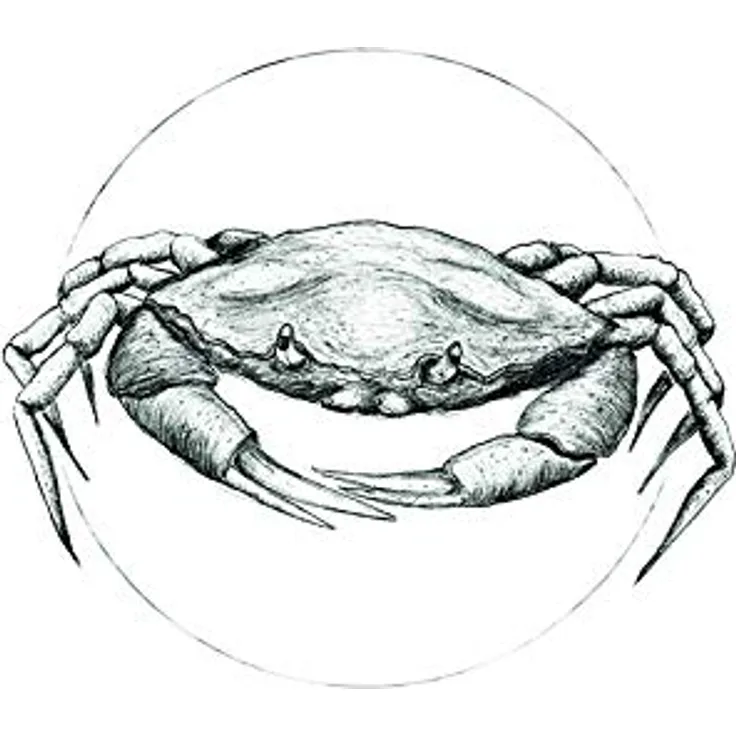 Komar Crab White Wandbild, Poster 30 x 40 cm, Fotopapier, ohne Rahmen, seidenmatte Oberfläche, hohe Lichtbeständigkeit, made in Germany