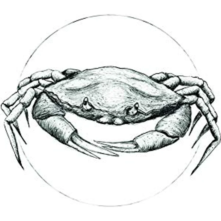 Komar Crab White Wandbild, Poster 30 x 40 cm, Fotopapier, ohne Rahmen, seidenmatte Oberfläche, hohe Lichtbeständigkeit, made in Germany – Bild 1
