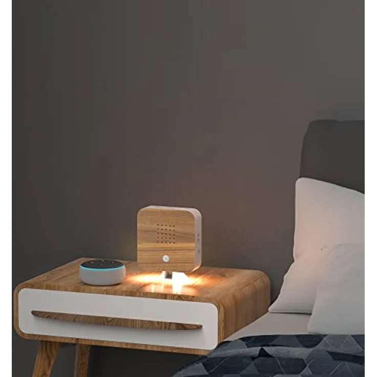 Northpoint LED Dekolicht Naturgeräuschebox Vogelzwitscher Bewegungsmelder Licht Aufladbar – Bild 6