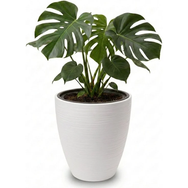 matches21 HOME & HOBBY Blumentopf Großer Outdoor Blumentopf CALMO licht-grau in 29x32 cm (1 St), Runder innen, außen Pflanztopf als wetterfester Pflanzen-Topf – Bild 5