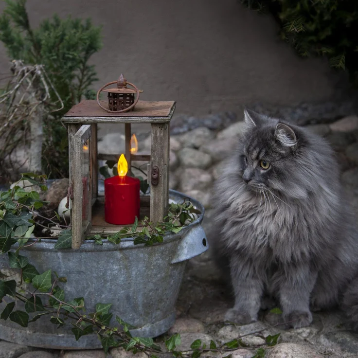 LED-BLOCKLEUCHTE PAULA / 11,5 cm / BATTERIE / Sensor / Innen-/Außenbereich / rot – Bild 5