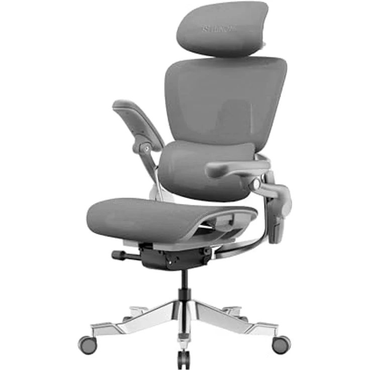 HINOMI H2 Pro Bürostuhl, ergonomisch mit 19-fachverstellbarer Lordosenstütze, 3D-Kopfstütze & 6D-Armlehnen, bis 150kg belastbar, atmungsaktives Mesh, grau – Bild 1