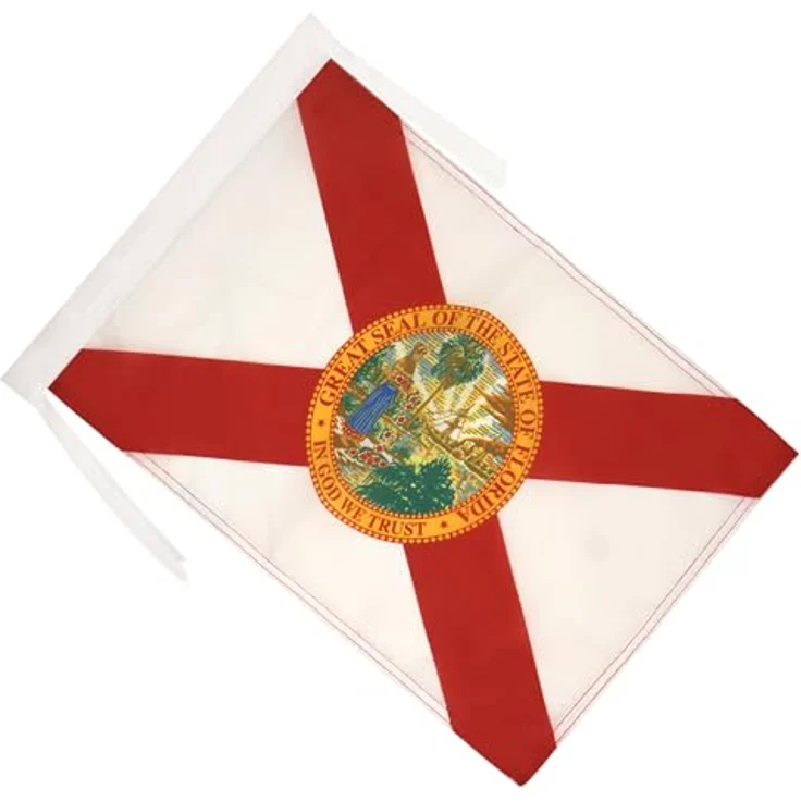 AZ FLAG - Flagge Florida - 45x30 cm Mit Kordel - Bundesstaat Florida Fahne 30 x 45 Cm - Flaggen – Bild 2