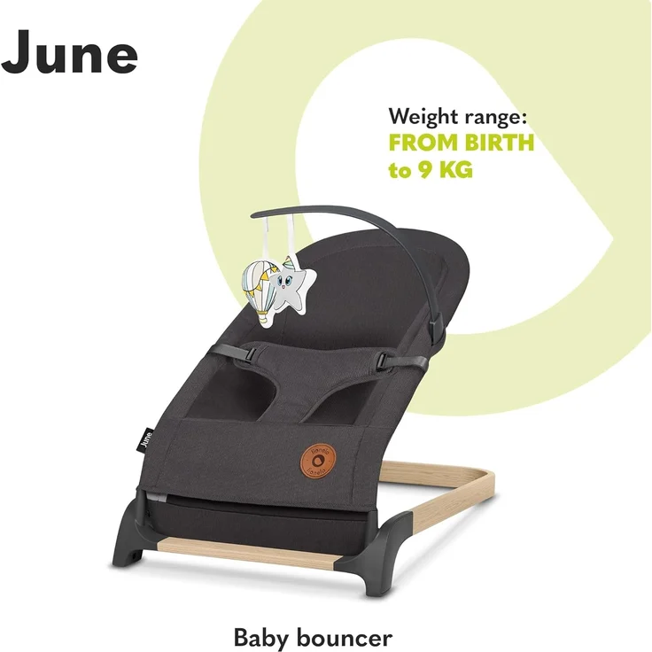 Lionelo June Babywippe für Neugeborene bis 9 kg, bequemer Stuhl mit natürlicher beruhigender Bewegung, ergonomische Rückenstütze, 3-Punkt-Sicherheitsgurt, weiches atmungsaktives Gewebe, leicht & – Bild 2