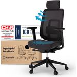 Ergotopia 'PureBack' ergonomischer Bürostuhl mit Lordosenstütze & 4D-Armlehne, Schwarz, mit Kopfstütze