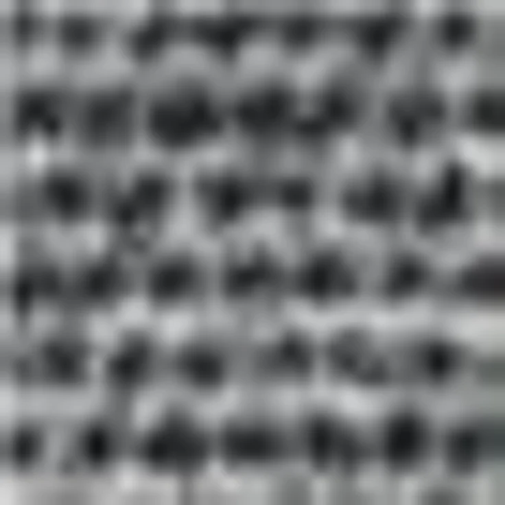 SCHÖNER WOHNEN-Kollektion Läufer Miami 002, rechteckig, Höhe: 7 mm, Schmutzfangläufer, Schmutzfangteppich, Schmutzmatte, waschbar – Bild 3