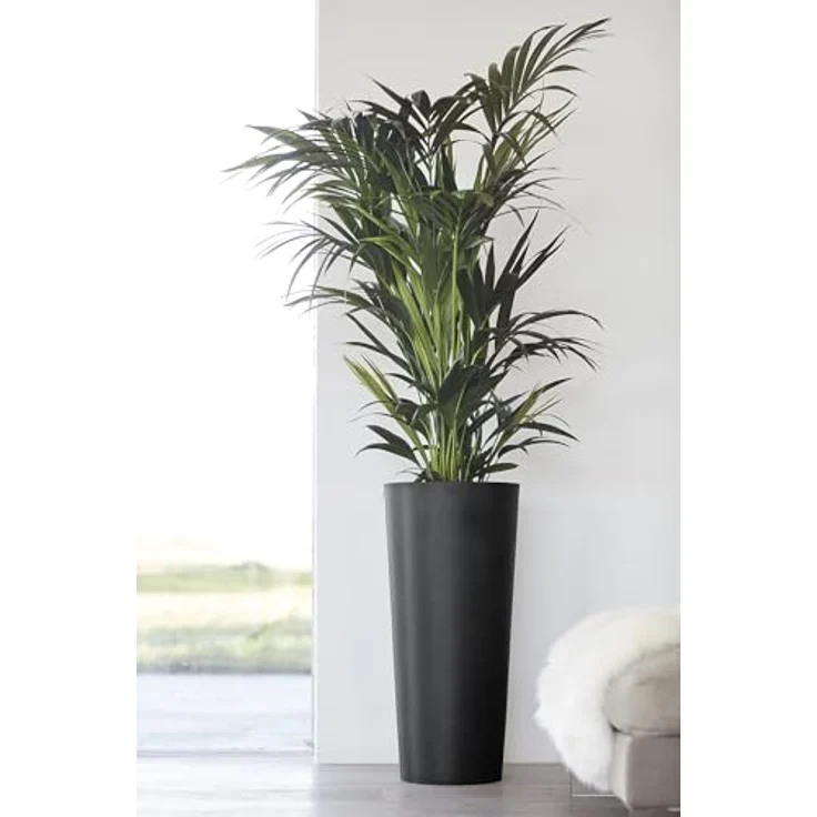 ECOPOTS Blumentopf AMSTERDAM HIGH White Grey, BxTxH: 41x41x76 cm – Bild 9