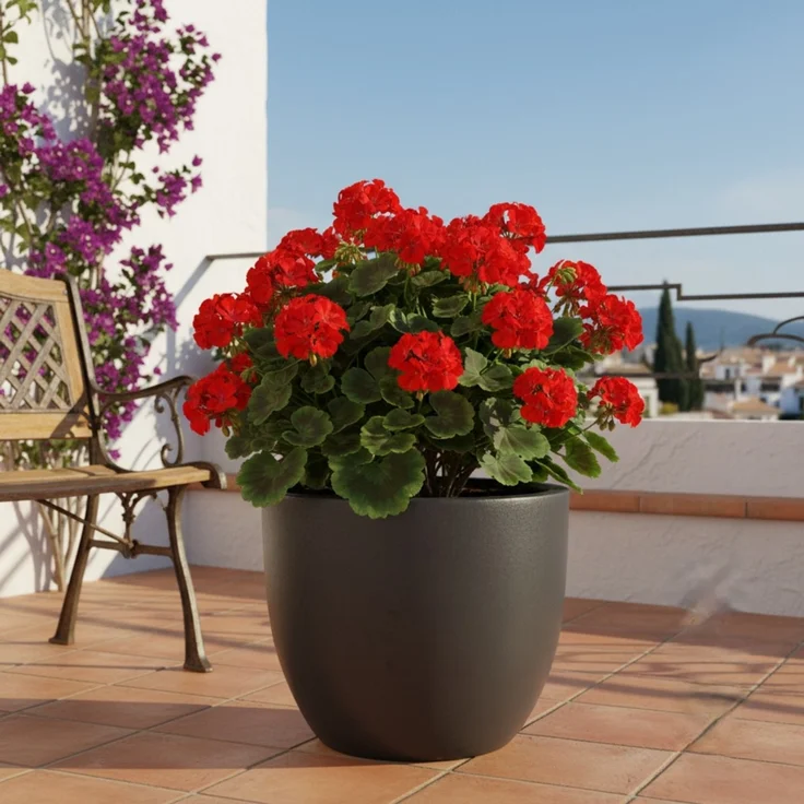 Keramik Blumentopf Eggpot Anthrazit Ø 38cm - Frostfest Pflanzkübel Grau Rund – Bild 7