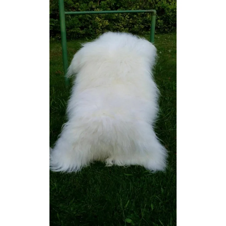 Provellus Fellteppich Island Schaffell weiß – Naturprodukt, ökologisch gegerbt & flauschig, 100 - 110cm – Bild 3