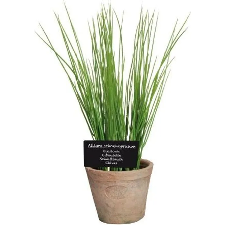 Esschert Design Kunststoffpflanze Schnittlauch im Topf, Größe L, ca. 11 x 11 x 19 cm