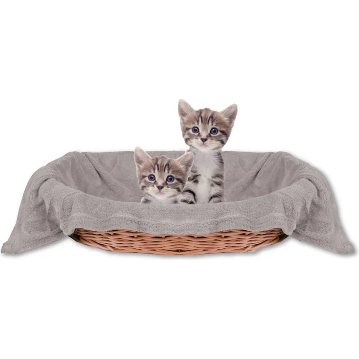 Haustierdecke Katzendecke Kuscheldecke Tierdecke , angenehm und super weich in vielen verschiedenen Farben erhältlich (70x100 cm / hellgrau - steingrau)