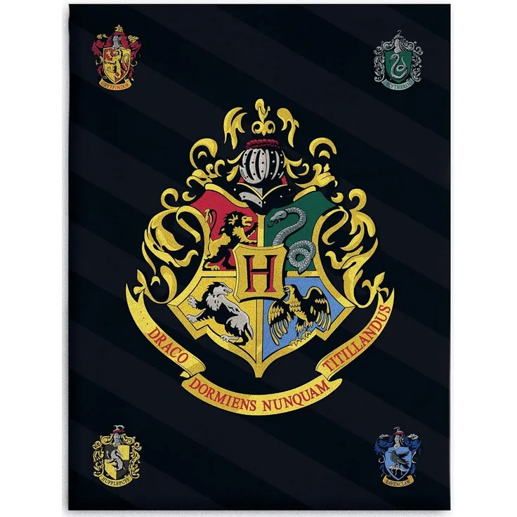 Kinderdecke Harry Potter Decke Hogwarts 150x200 cm Kuscheldecke Fleecedecke Magie, BERONAGE, passend zur Bettwäsche, ideal für Sofa, Couch, Kinder-Bett, Auto